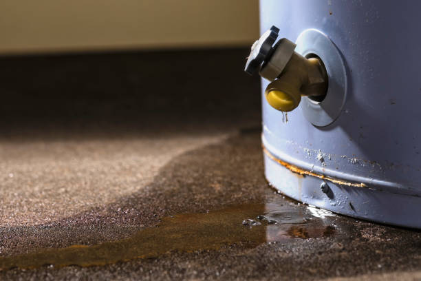 Best Fire Damage Restoration  in Mullens, WV