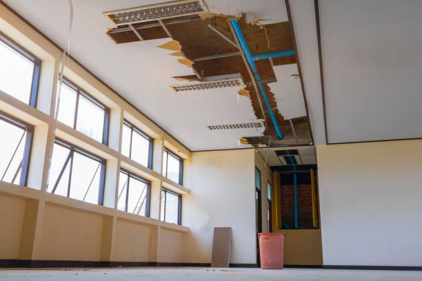 Best Water damage contractors near me  in Mullens, WV