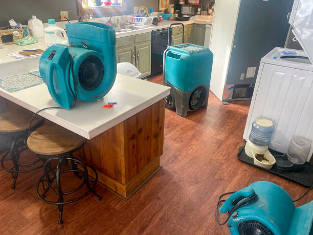 Best Professional water damage repair  in Mullens, WV