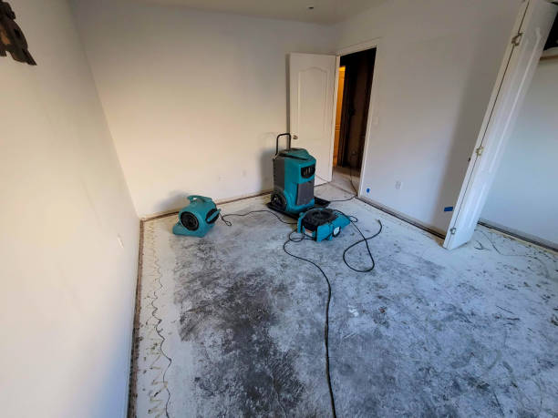 Best Water damage cleanup near me  in Mullens, WV