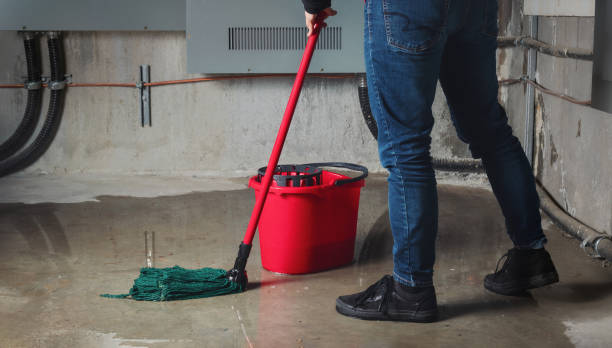 Best Flooded house restoration  in Mullens, WV