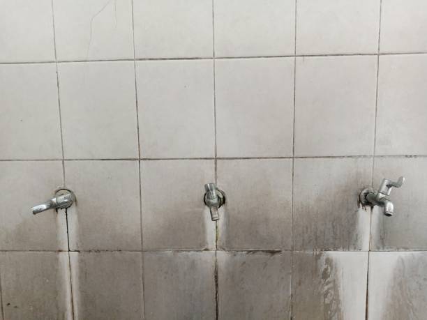 Best 24-hour water damage restoration  in Mullens, WV