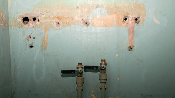 Best Commercial water damage restoration  in Mullens, WV