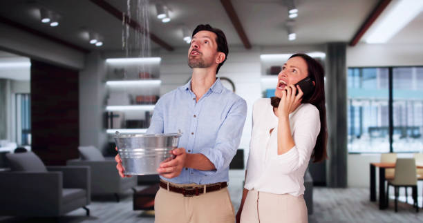 Best Flooded house restoration  in Mullens, WV