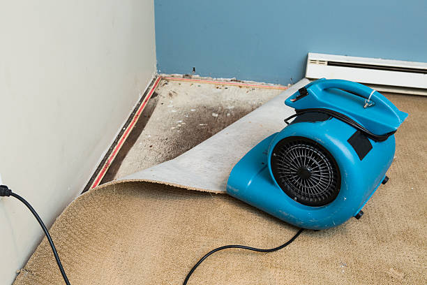 Best Residential water damage restoration  in Mullens, WV